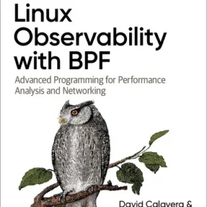 Linux Observability with BPF: Advanced Programming for Performance Analysis and Networking